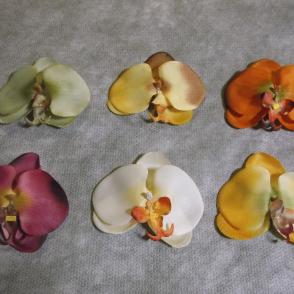 orchidea hlava -vencová